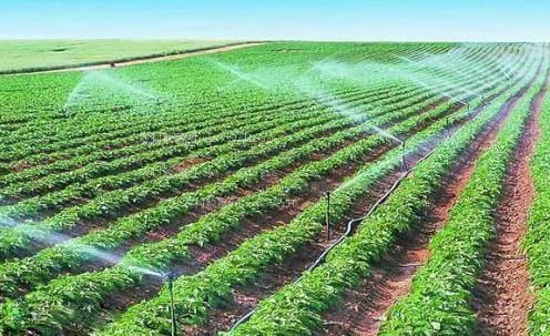 大鸡吧插bb卡通视频农田高 效节水灌溉